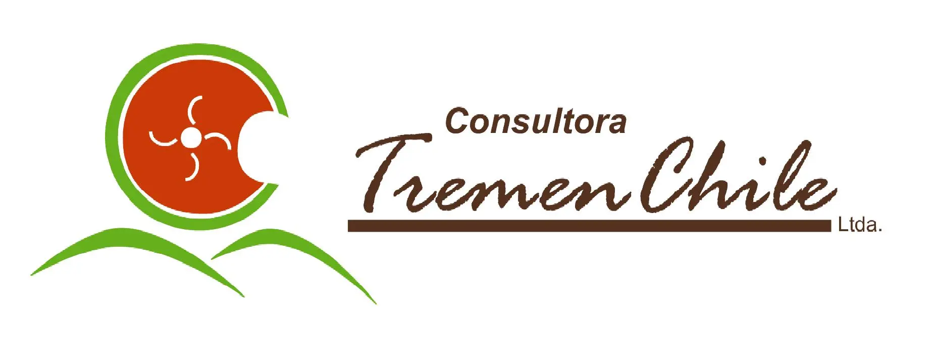 Consultora TremenChile Ltda.